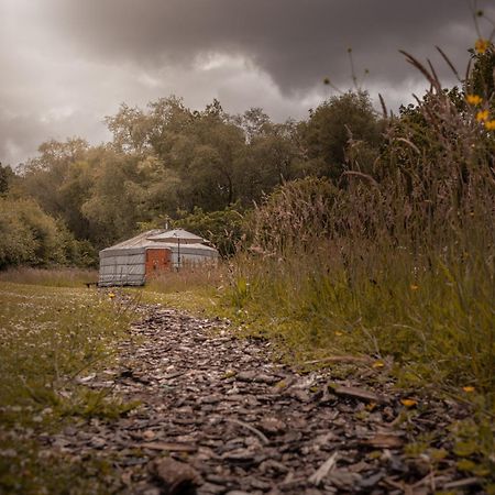 Hotel Gilfach Gower Farm Luxury Yurt With Hot Tub Ammanford Esterno foto